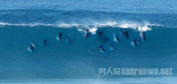 逃离复古经典房屋